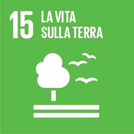 SDG 15